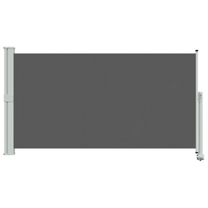 vidaXL Auvent latéral Anthracite 160 x 300 cm Polyester Rectangulaire