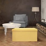 Banc coffre de rangement en suédine lina
