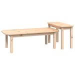 vidaXL Ensemble de tables basses 2 Pièces Bois massif de pin