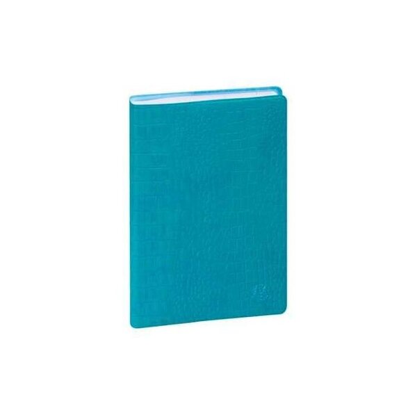 Agenda Journalier DAY-TO-DAY Baby-Croco 150x100 Coloris Aléatoire EXACOMPTA