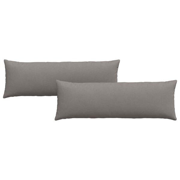 vidaXL Coussins de canapé 2 Pièces Taupe 120 x 40 cm tissu
