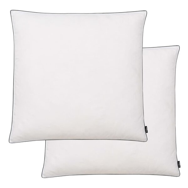 vidaXL Oreiller 2 Pièces Remplissage de duvet 80 x 80 cm Blanc