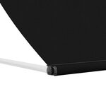 vidaXL Auvent Noir 300 x 150 cm