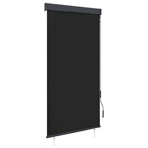 vidaXL Store roulant d'extérieur 80 x 250 cm Anthracite