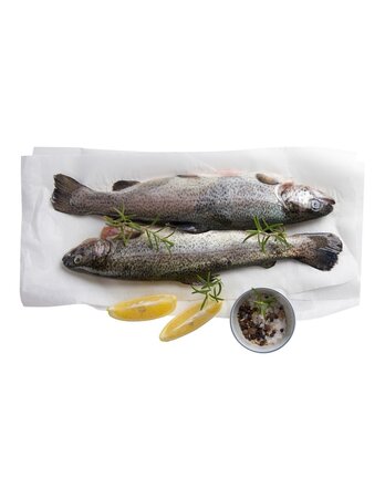 (lot  de 10 kg) papier ingraissable spécial poisson en format paquet de 10kg