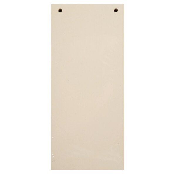 Paquet 100 Fiches Intercalaires Horizontales Unies Perforées Forever - 105x240mm - Ivoire - X 12 - Exacompta