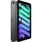 Apple - ipad mini (2021) - 8 3 wifi + cellulaire - 256 go - gris sidéral
