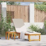 vidaXL Transat 1-personne Marron 53 x 202 x 89cm Bois d'acacia massif
