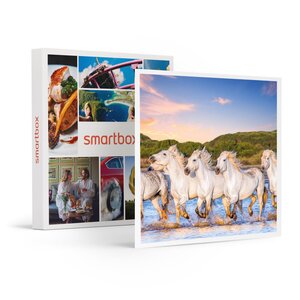 SMARTBOX - Coffret Cadeau Séjour romantique : 2 jours dans un hôtel en Camargue -  Séjour
