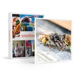 SMARTBOX - Coffret Cadeau Parrainage de ruche et extraction de miel près de Nantes avec produits à ramener chez vous -  Gastronomie