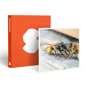 SMARTBOX - Coffret Cadeau Parrainage de ruche et extraction de miel près de Nantes avec produits à ramener chez vous -  Gastronomie