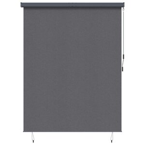 vidaXL Store Roulant Extérieur Rayé Anthracite 220 x 250 cm tissu