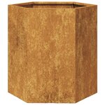 vidaXL Jardinières 2 Pièces hexagone 46x40x45 cm acier patinable