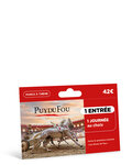 Coffret cadeau - TICKETBOX - Carte Billetterie Puy du Fou - Journée 1 personne