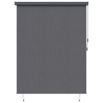 vidaXL Store Roulant Extérieur Striped Anthracite 220 x 250 cm tissu