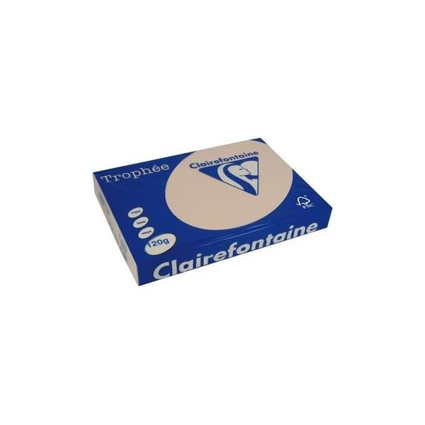 Ramette 250 Feuilles Papier 120g A4 210x297 mm Certifié FSC SAUMON TROPHÉE