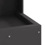 vidaXL Braise Noir 35 x 35 x 100 cm Acier