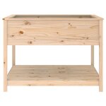 vidaXL Jardinière avec étagère 111 5x111 5x81 cm Bois massif de pin