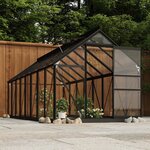 vidaXL Serre en verre Anthracite 155x395 5x191 cm Aluminium