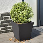 vidaXL Jardinières 2 Pièces noir 30x30x30 cm acier