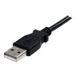 Startech.com câble d'extension mâle/femelle usb 2.0 de 1.80m - prolongateur usb - rallonge