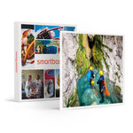 SMARTBOX - Coffret Cadeau Sensations canyoning -  Sport & Aventure