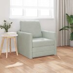 vidaXL Canapé-lit avec coussin Gris clair 74 x 77 x 81 cm Velours