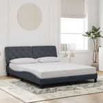 vidaXL Cadre de lit avec LED sans matelas gris foncé 160x200cm velours