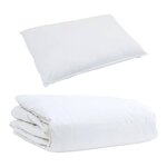 vidaXL Duvet d'été simple avec oreiller 2 Pièces Blanc Plume de canard