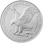 Monnaie JESUS FALLS THE THIRD TIME Station IX Via Crucis 1 Oz Argent 1$ USA 2026 (PRÉCOMMANDE)