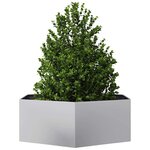 vidaXL Jardinière hexagone 138x120x45 cm acier galvanisé