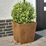 vidaXL Jardinières 2 Pièces 40x40x40 cm acier corten