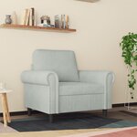 vidaXL Fauteuil Gris clair 60 cm Velours