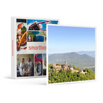 SMARTBOX - Coffret Cadeau Vol en hélicoptère de 20 min près du château du Haut-Koenigsbourg -  Sport & Aventure