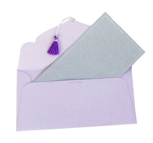 Carte 19x10cm Gris/Argent 5 pièces