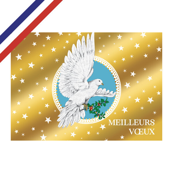 Carte double meilleurs vœux colombe