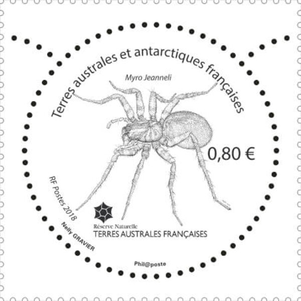 Timbre - TAAF - Insecte de Crozet