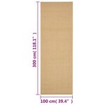 vidaXL Tapis Sisal naturel 100x300 cm