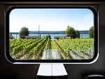 SMARTBOX - Coffret Cadeau L'Europe en train : pass Interrail de 22 jours en 1re classe -  Sport & Aventure
