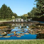 Capi Pot à fleurs Nature Rib élégant bas 46x58 cm anthracite KOFZ783