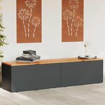 vidaXL Boîte de rangement de jardin noir résine tressée bois d'acacia