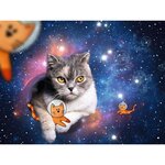Ravensburger 12000742 - Puzzle - Chats volant dans l'espace