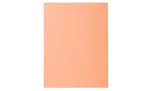 Paquet de 50 chemises 2 rabats SUPER 250 - 24x32cm EXACOMPTA
