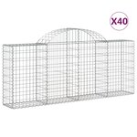 vidaXL Paniers à gabions arqués 40 Pièces 200x30x80/100 cm Fer galvanisé