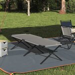 vidaXL Lit de camping pliant Gris Tissu Oxford