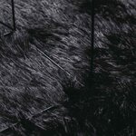 vidaXL Tapis Shaggy à poils longs NAVARRA noir 60x100 cm polyester