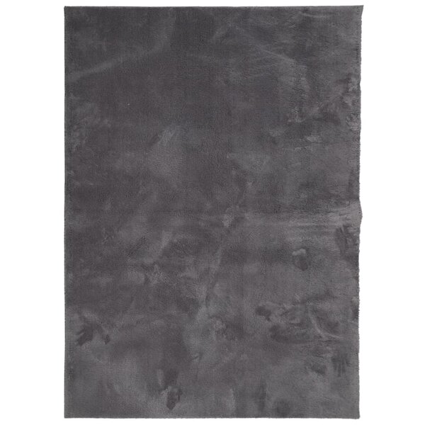 vidaXL Tapis HUARTE à poils courts doux lavable anthracite 200x280 cm