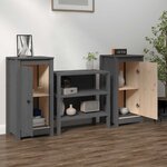vidaXL Buffets 2 Pièces gris 39x35x80 cm bois massif de pin