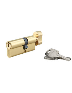 THIRARD - Cylindre de serrure à bouton  30Bx60mm  anti-arrachement  laiton  3 clés - THIRARD