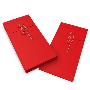 Lot de 10 enveloppes à soufflets à rondelle et ficelle rouge 220x110